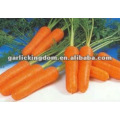 Nuevo Crop Fresh Chinese Red Carrot